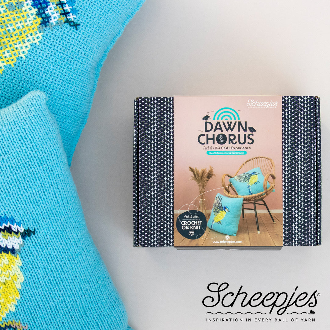 PREORDER Scheepjes CKAL Blue Tit Cushion Kit